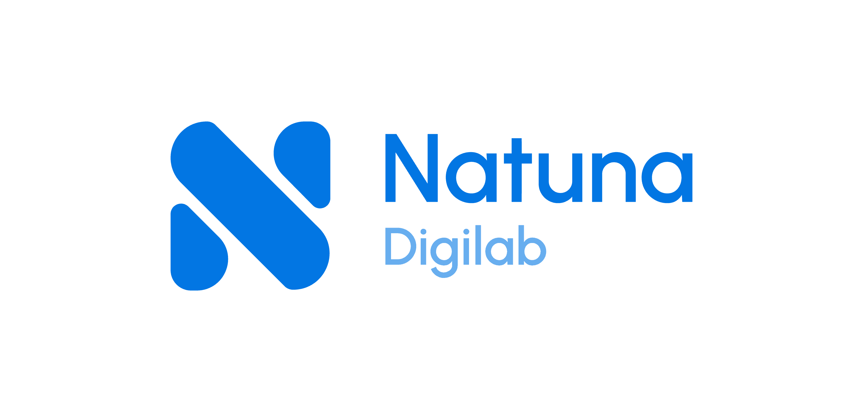 Natuna Digilab logo